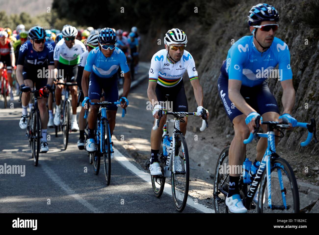 movistar cycling 2019