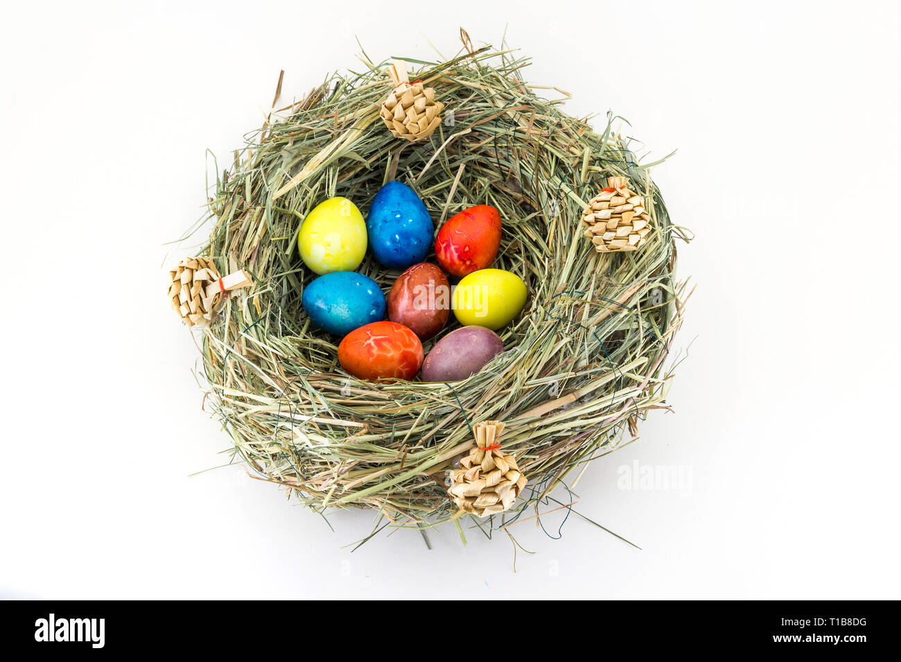 colored easter quail eggs in grass nest with bumps Stock Photo