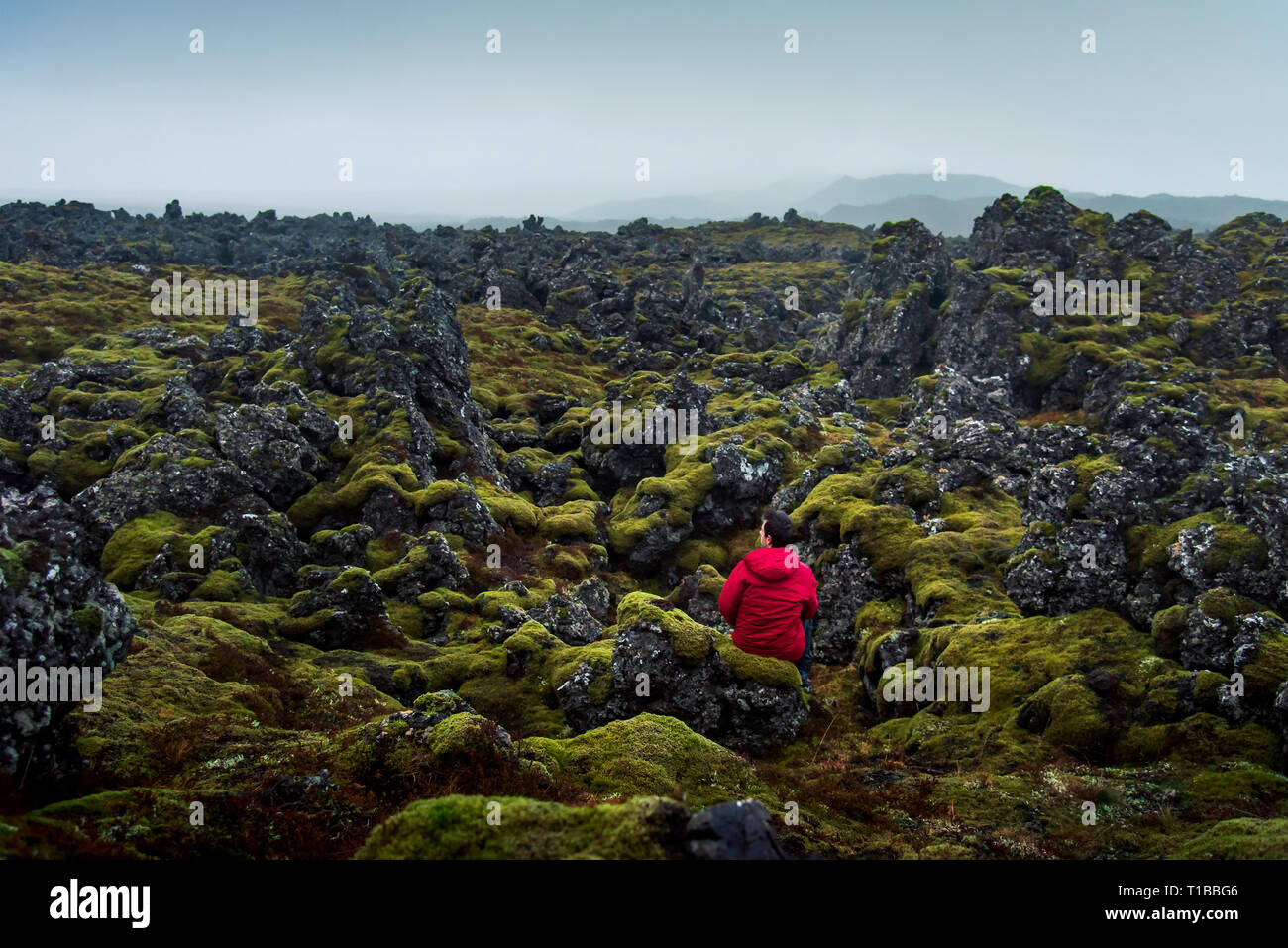 Man enjoying lava field scenery in Iceland Stock Photo