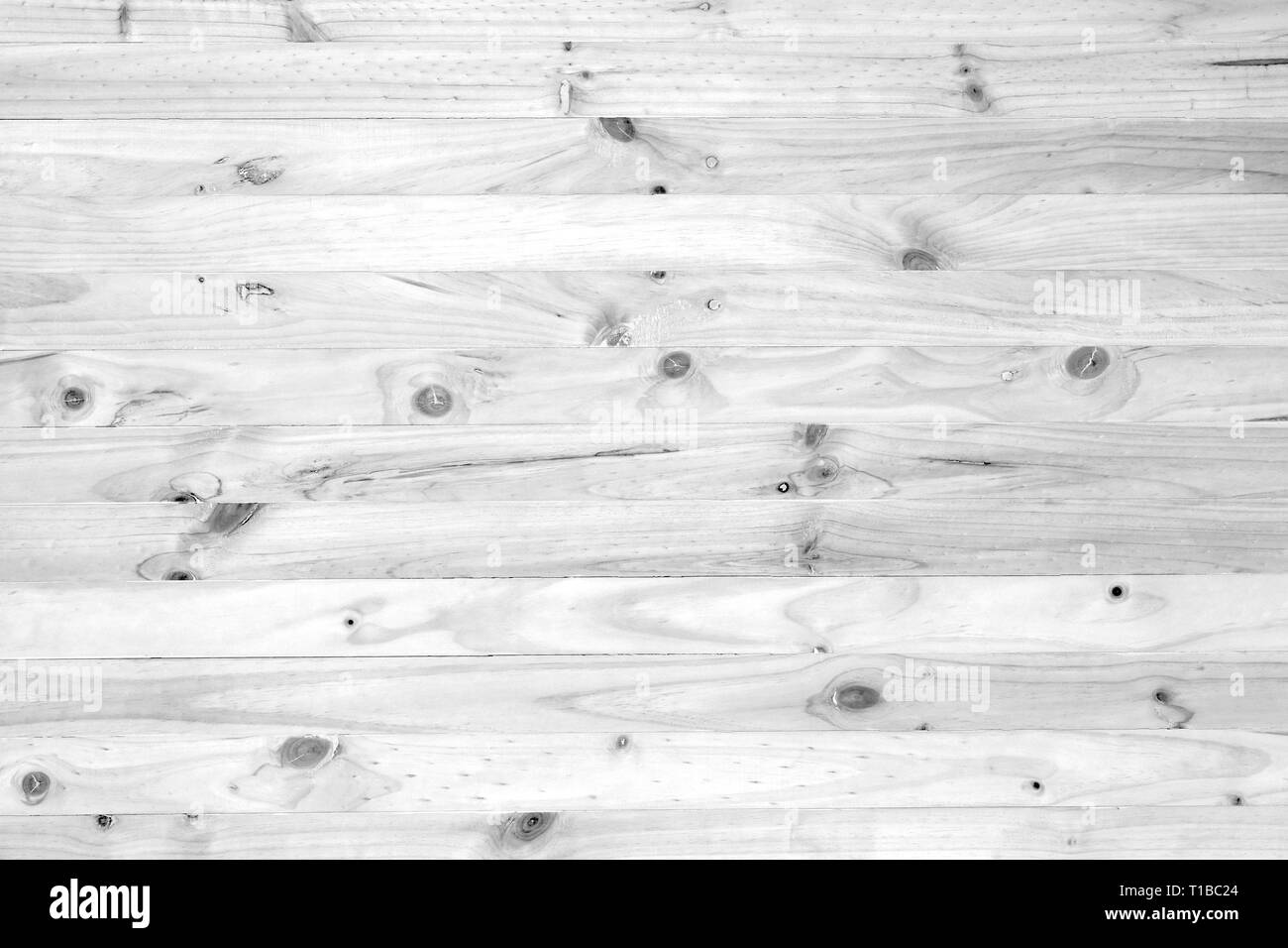 Pine wood texture on wooden wall, black & white softwood pattern background, pine wood overlay, softwood background, softwood texture, pine wood textu Stock Photo