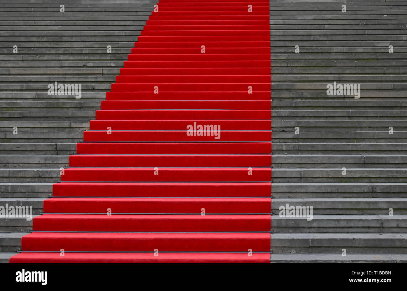 Close up red carpet over grey concrete stairs perspective ascending, low angle view Stock Photo