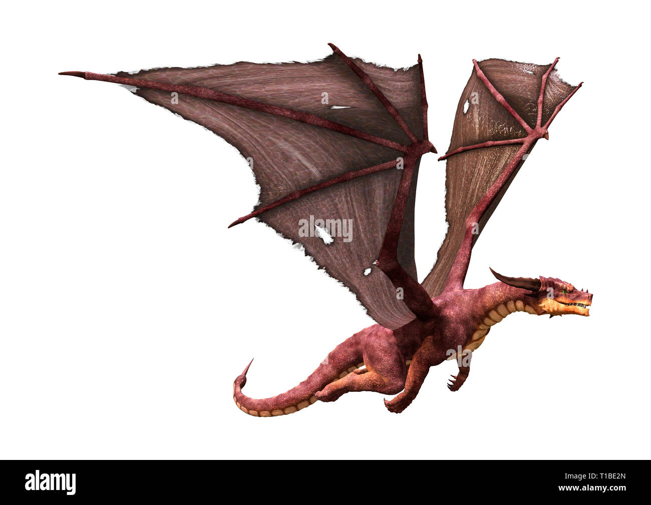 3D rendering of a fantasy dragon isolated on white background Stock ...