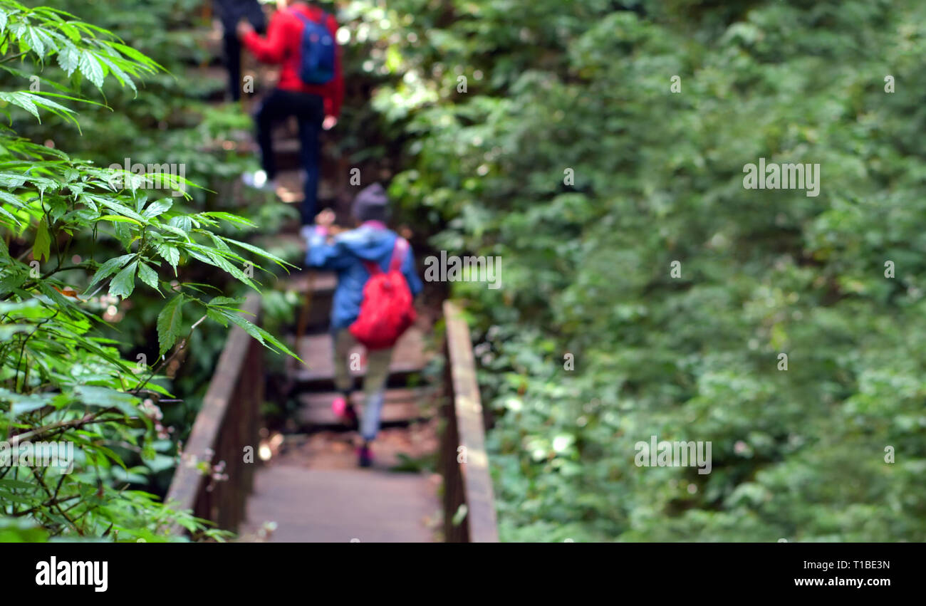 Blur image of travelers traveling on footpath, ecotourism in beautiful nature environment in trail on mountain, travelers traveling on trail on mounta Stock Photo