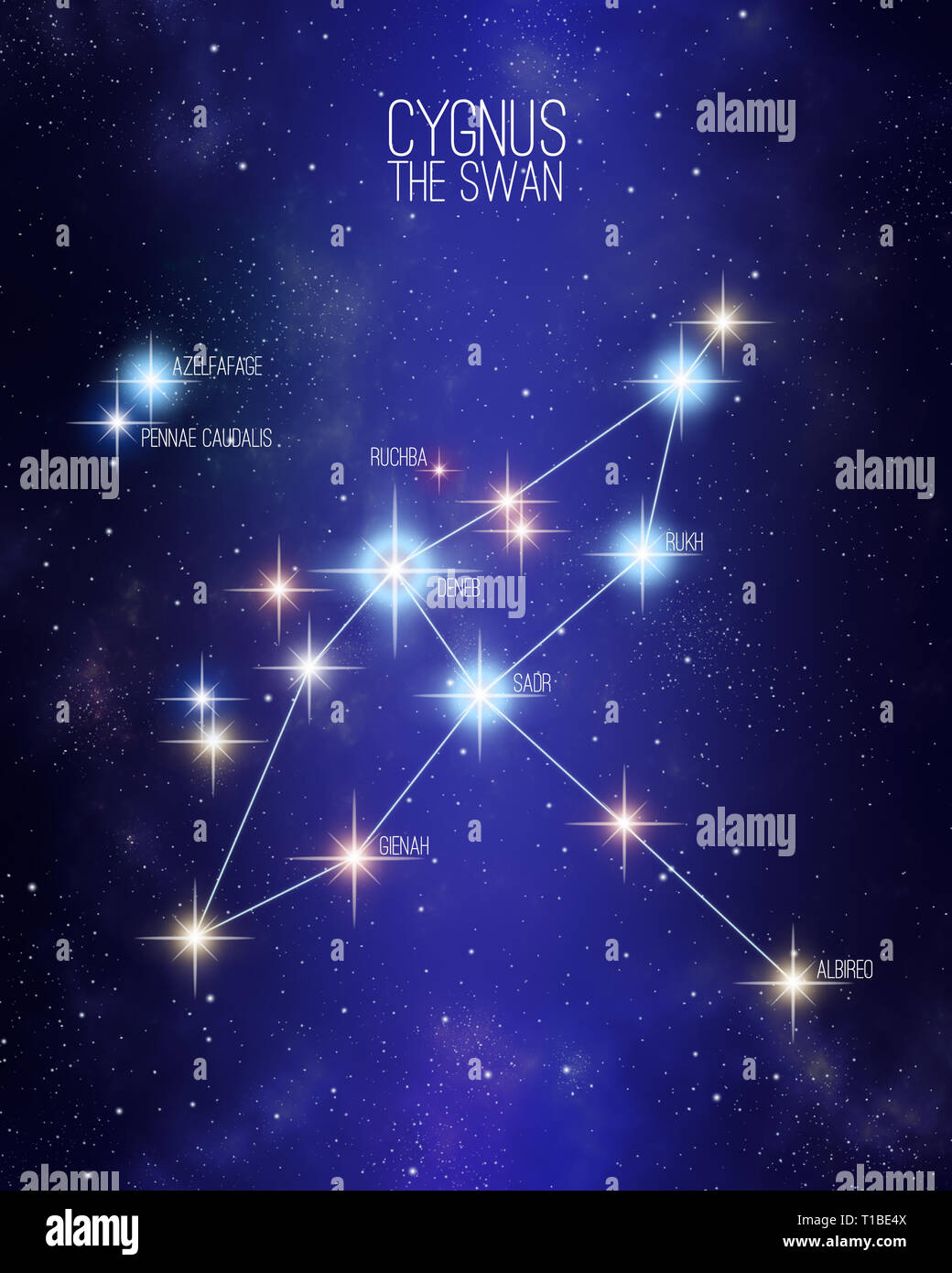 Cygnus the swan constellation on a starry space background with the names of its main stars. Relative sizes and different color shades based on the sp Stock Photo