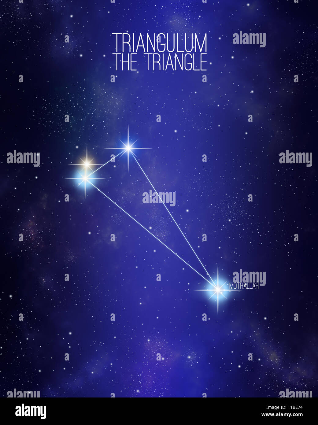 https://c8.alamy.com/comp/T1BE74/triangulum-the-triangle-constellation-on-a-starry-space-background-with-the-names-of-its-main-stars-relative-sizes-and-different-color-shades-based-o-T1BE74.jpg