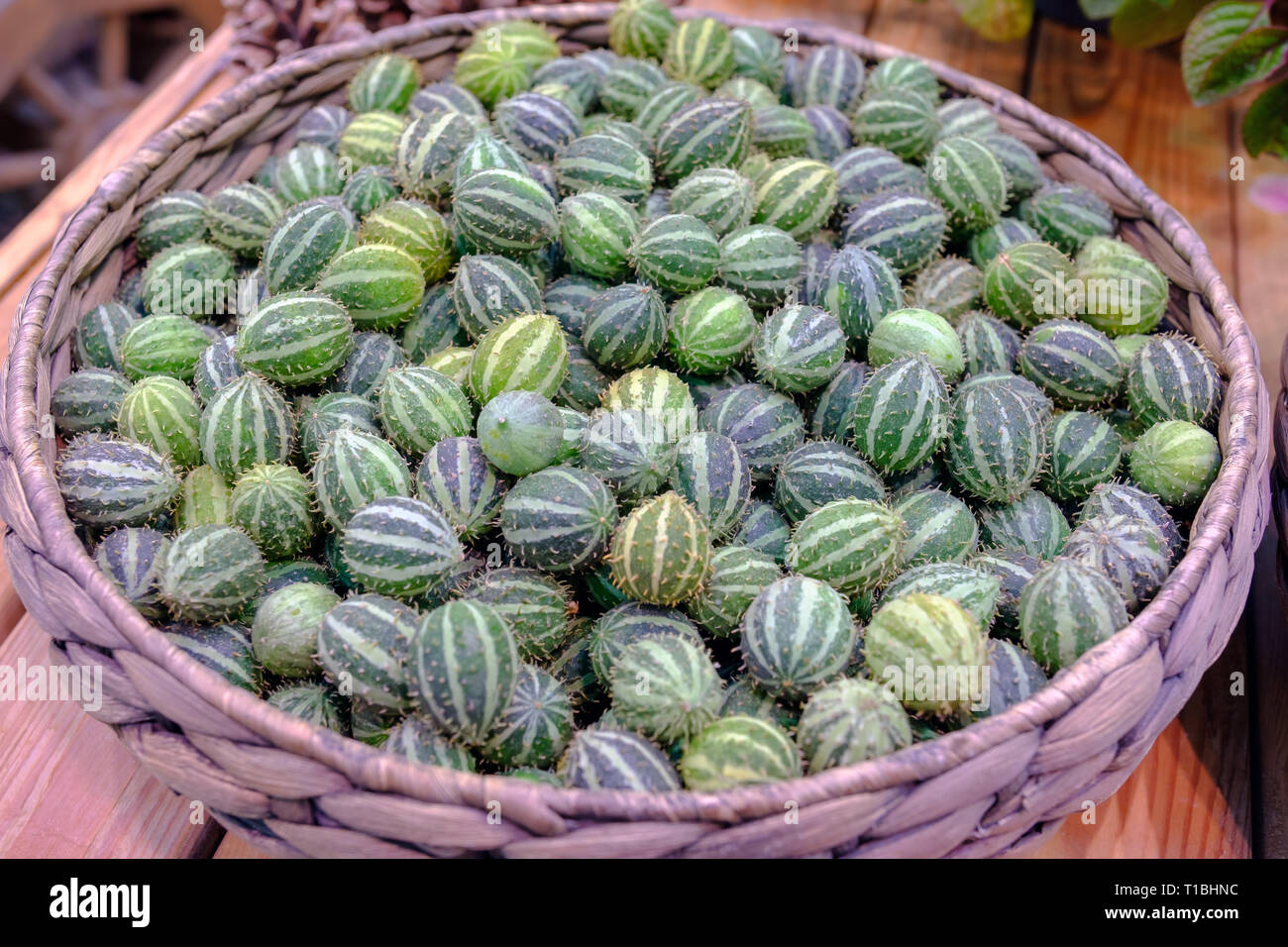 Exotic vegetables anguria in wicker basket Stock Photo Alamy