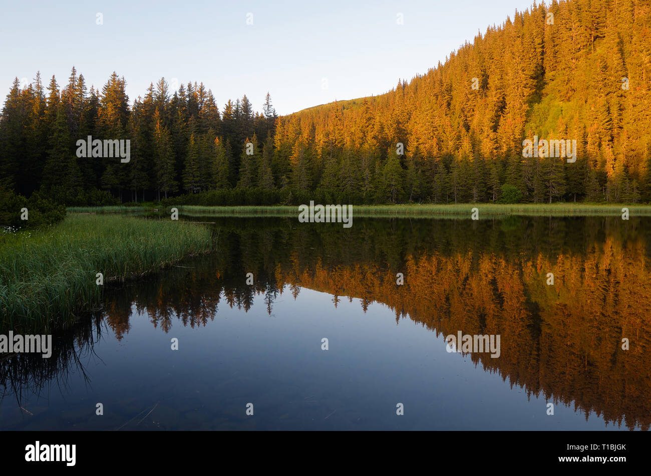 Lake in the mountain forest. Beautiful morning light Stock Photo