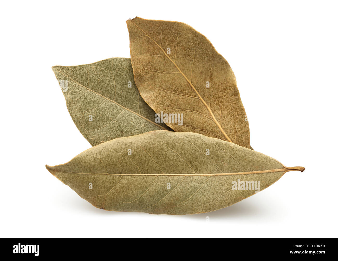 Dried bay leaves isolated on white background Stock Photo Alamy