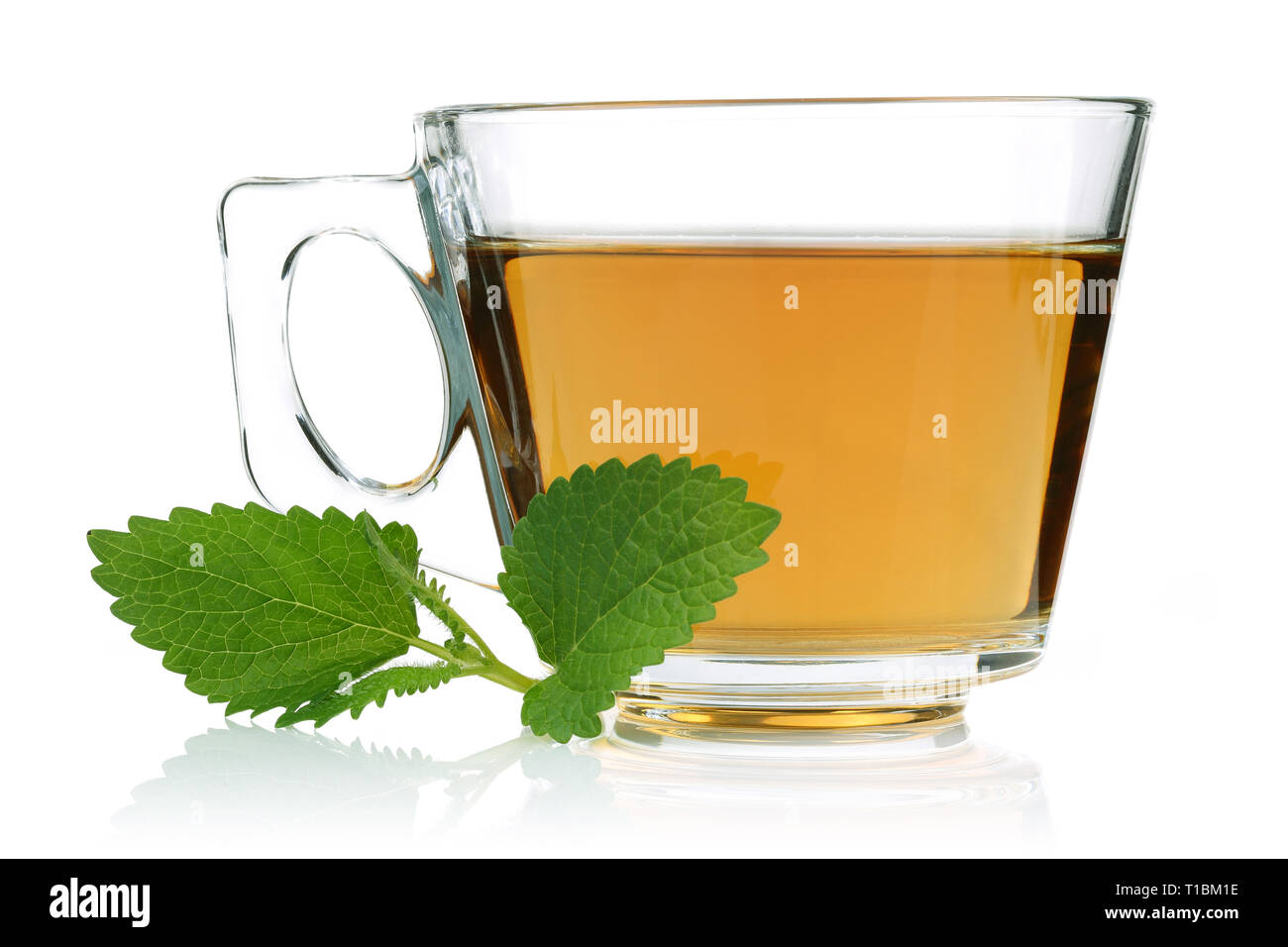 Melissa tea in a glass cup with lemon balm leaves isolated on white