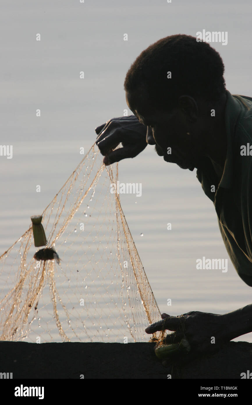 A fisherman on Lake Victoria catches an immature fish using a net that is illegal, as its dimensions are too small. Stock Photo