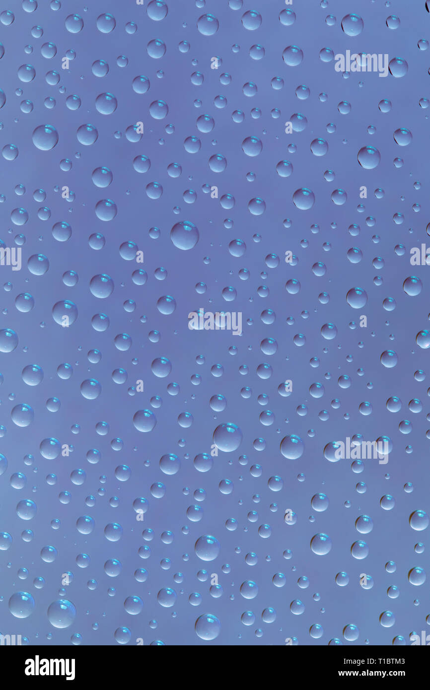 Beautiful water drops of the correct form on a gentle  blue background Stock Photo