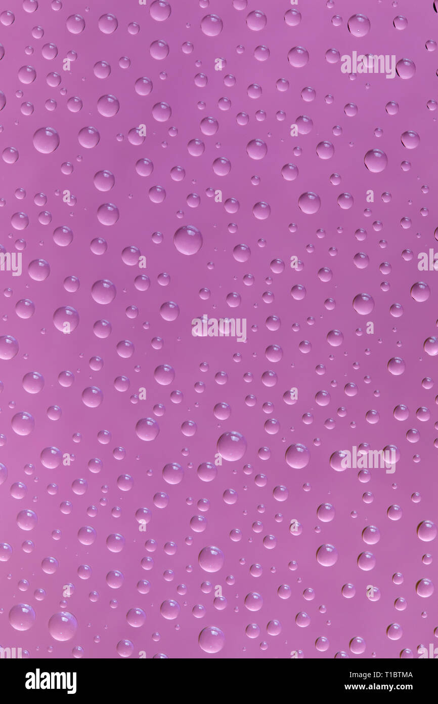 Beautiful water drops of the correct form on a gentle pink background Stock Photo
