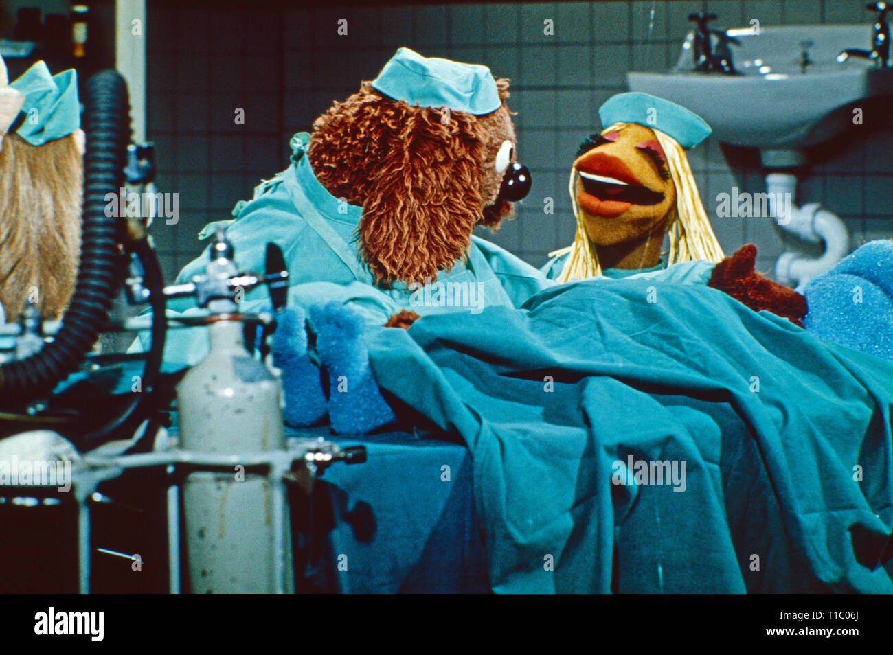 Muppet Show Janice