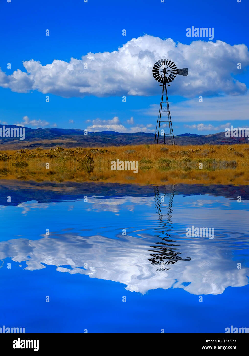 Sustainability reflect hi-res stock photography and images - Alamy