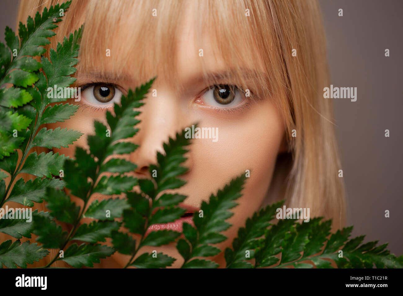 close up view of beautiful woman, branch of a fern covers the face. Eye care, contact lenses and beauty. Stock Photo