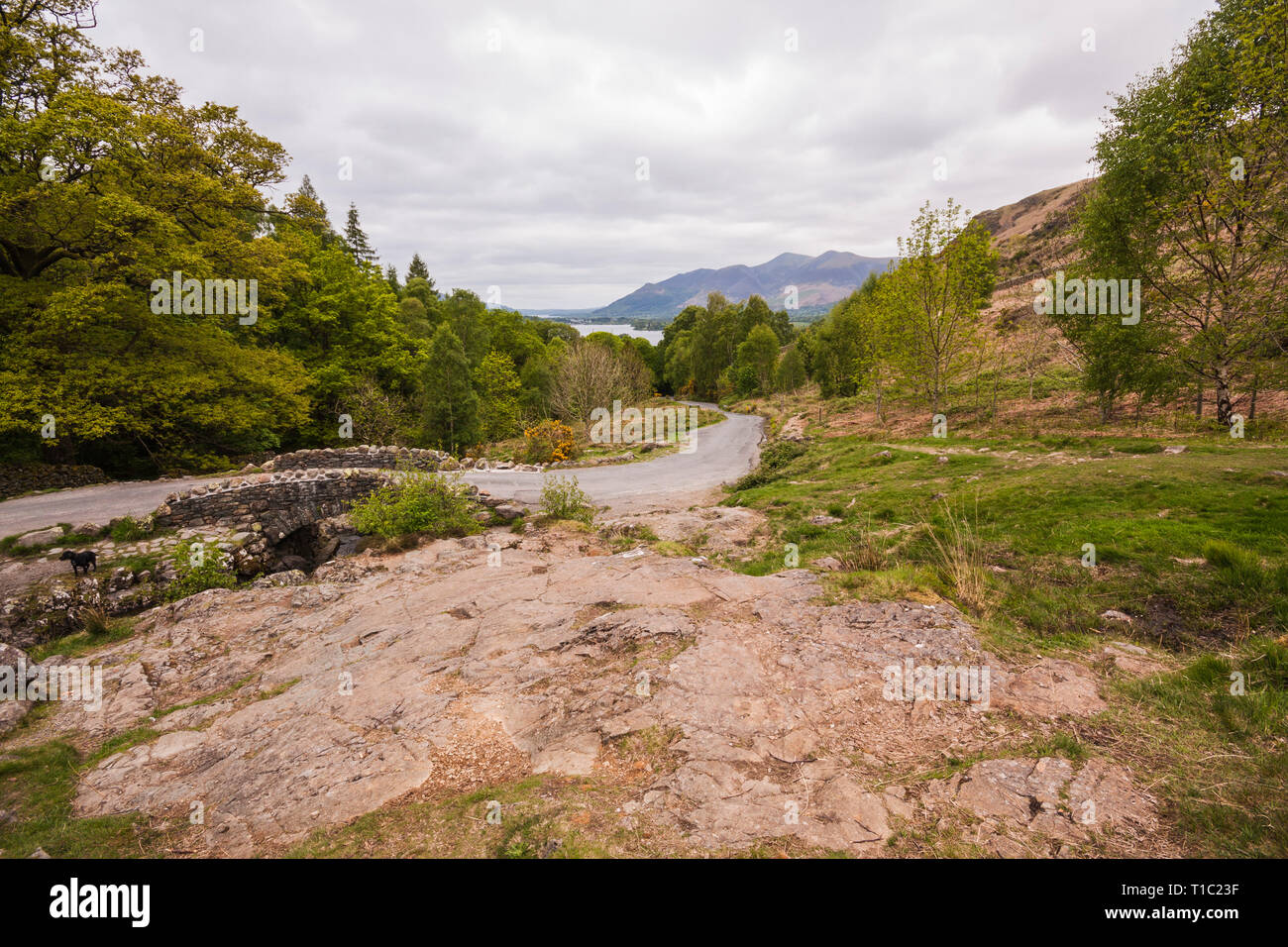 Ashness Bridge,near Keswick,Lake District,England,UK Stock Photo Alamy