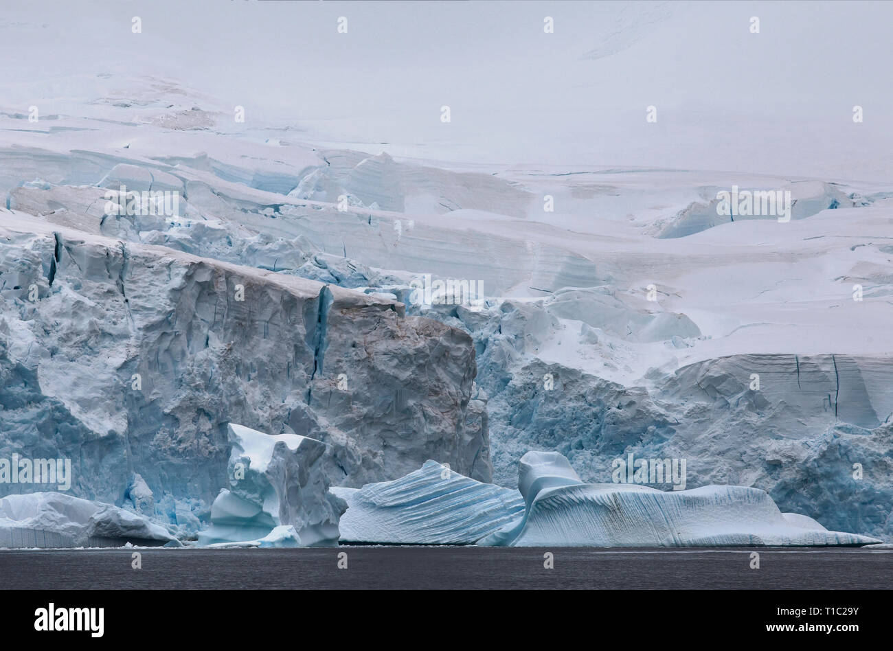 Antarctica ice shelf calving Stock Photo Alamy