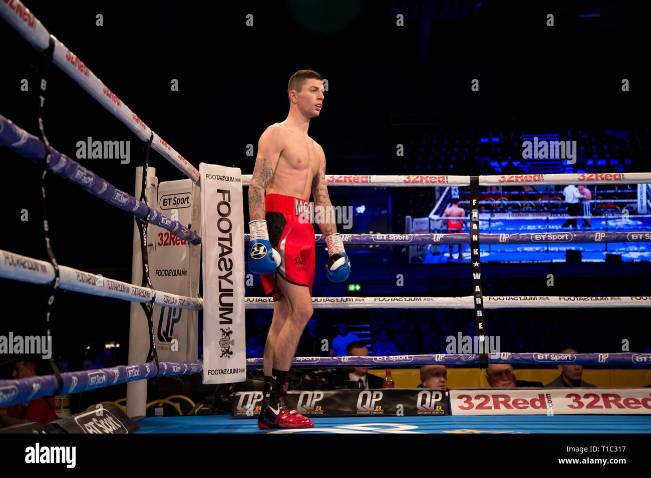 Boxing british lightweight boxers hires stock photography and images