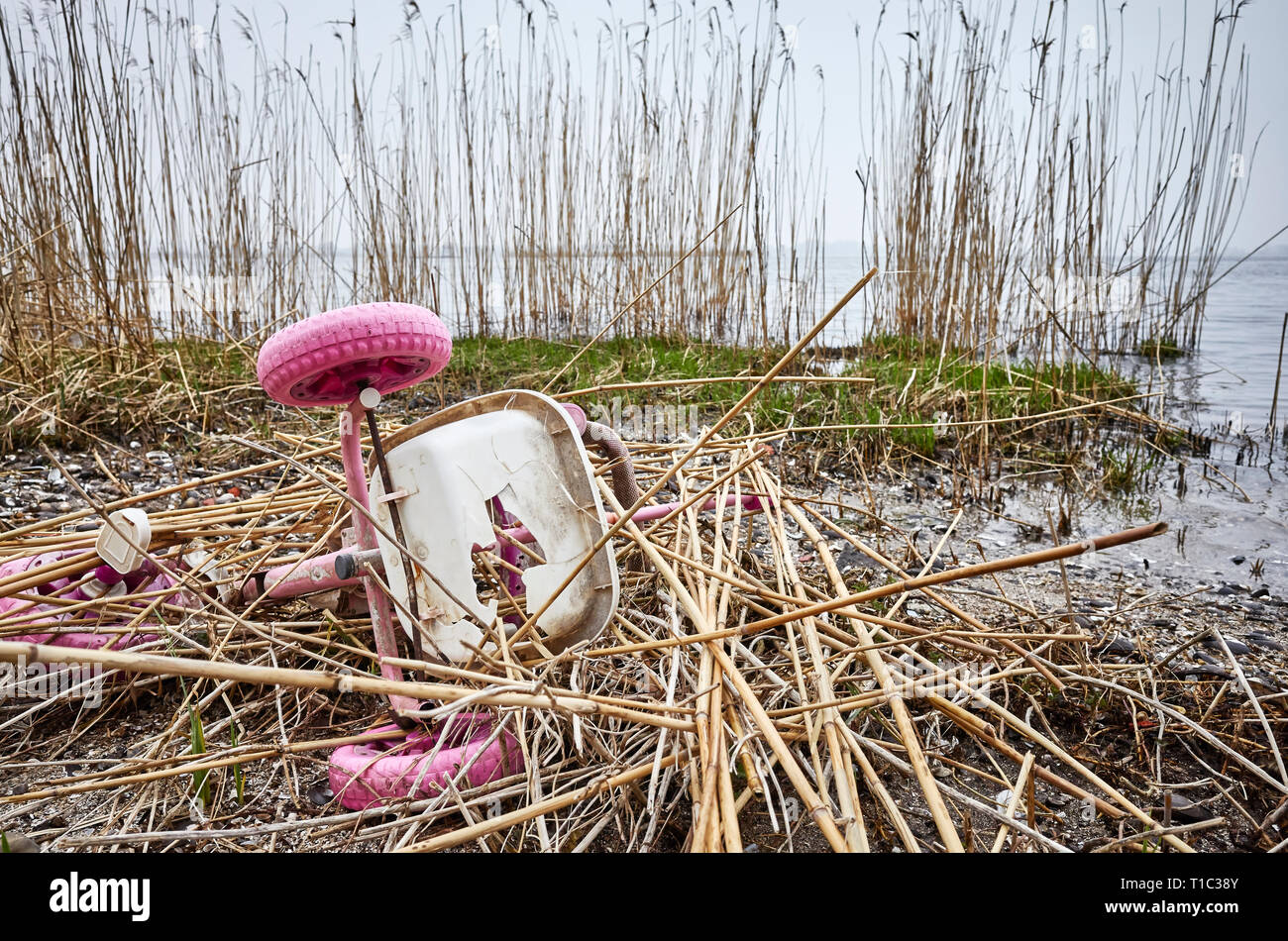 Old kids tricycle discarded at a river bank, environment pollution or a crime scene concept picture. Stock Photo