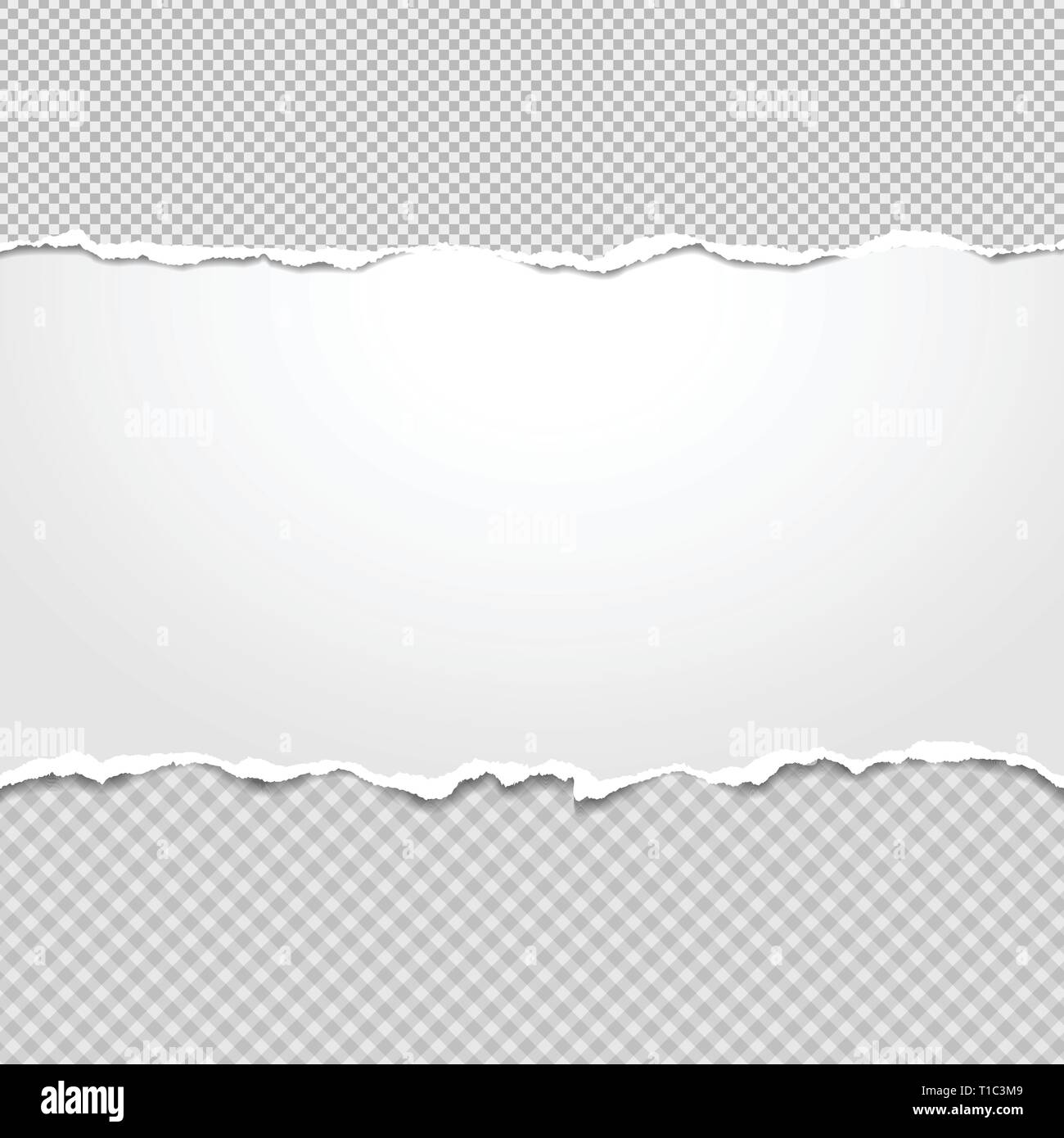 Torn squared and white horizontal paper strips with space for text. Vector illustration background Stock Vector