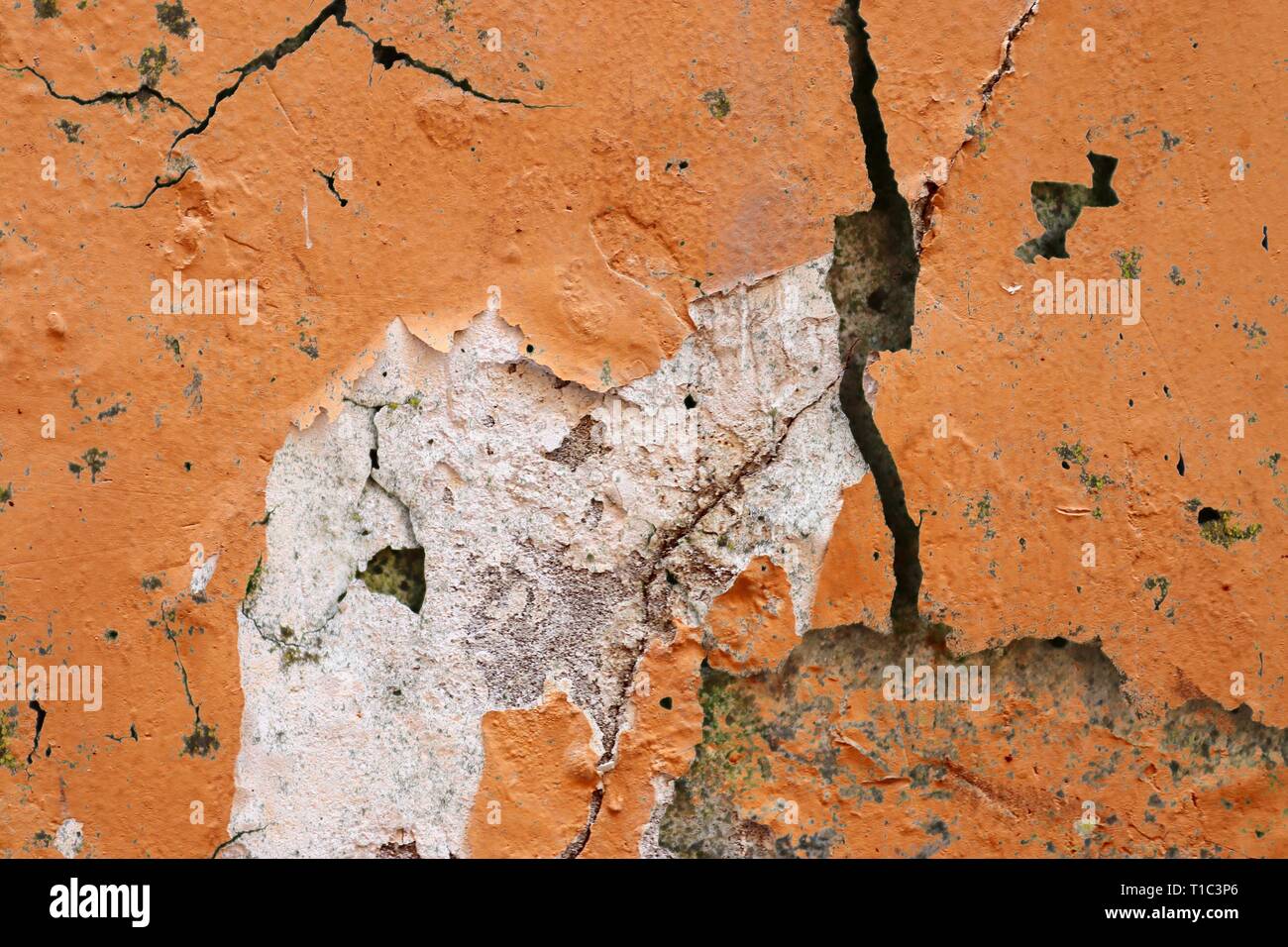Close up detailed surface of weathered paint on different walls in high