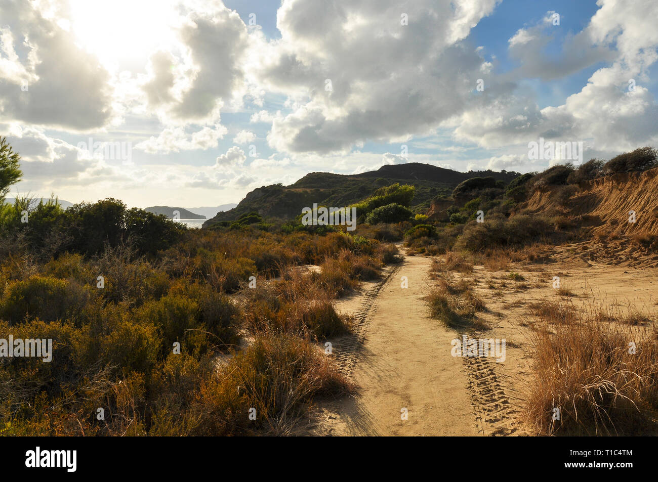 Pathway on sandy dunes between thickets vegetation with view on mountains, island and sea on horizon. Fading tire traces of car on the sand. Stock Photo