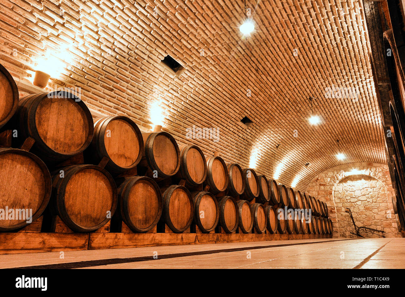 Wine barrels in the old basement of a winery. Cellar of wine vault with