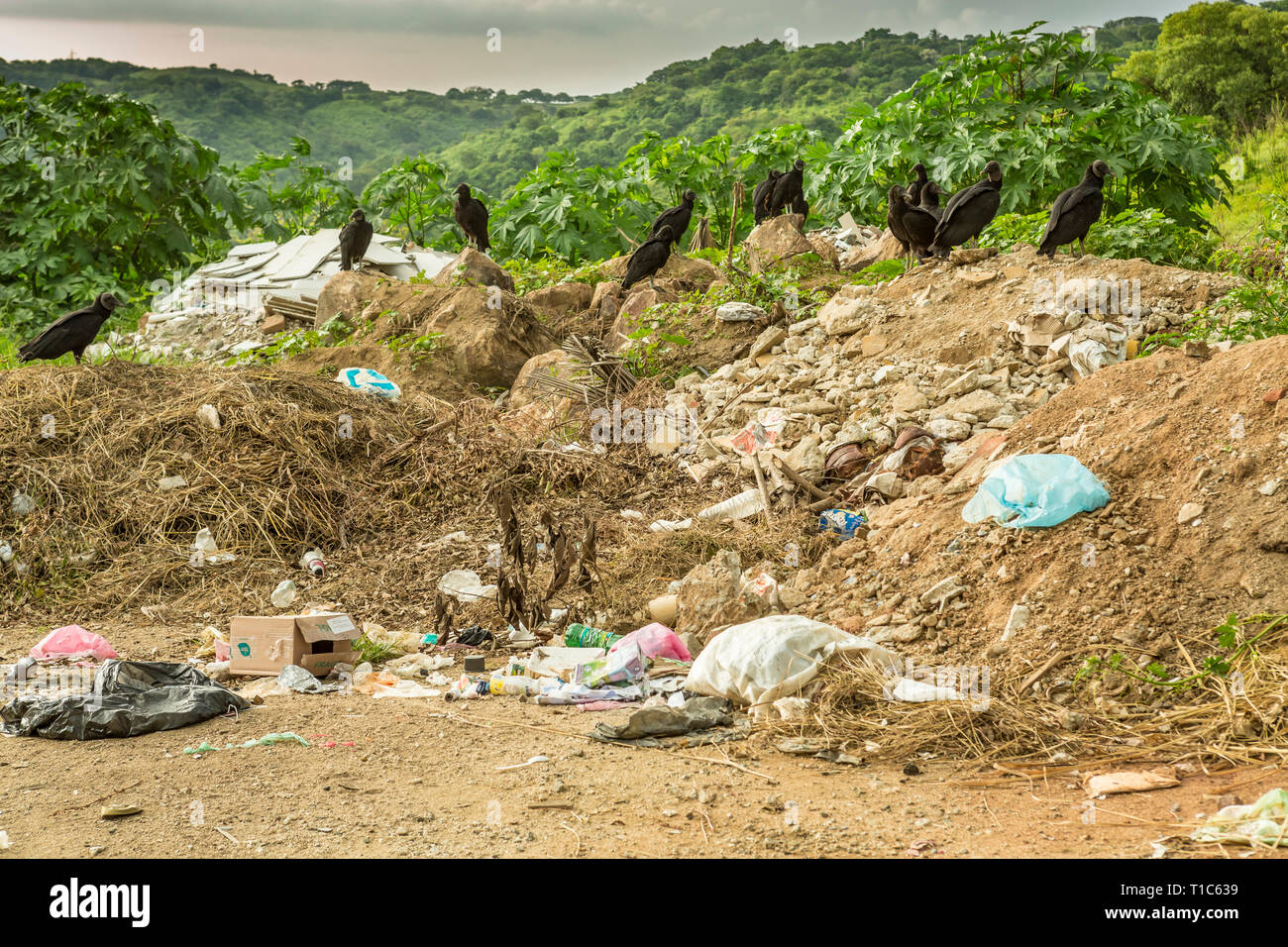 Plastic pollution roadside hi-res stock photography and images - Alamy