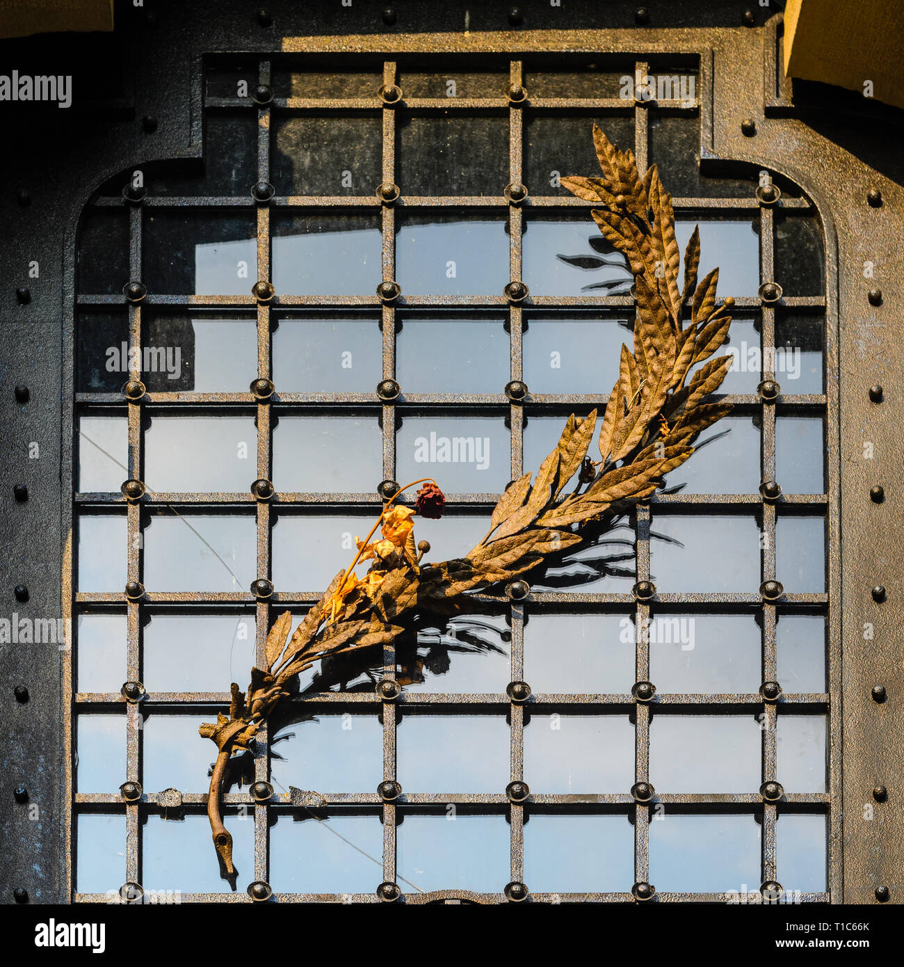 Antique Steel Doors with Glazing and Decorated with a Sprig of Herbarium Stock Photo