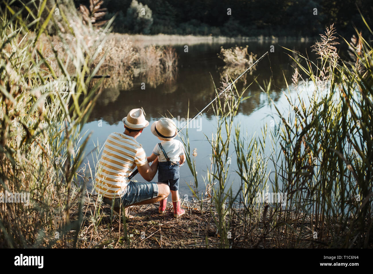 A rear view of mature father with a small toddler son outdoors fishing by a lake. Stock Photo