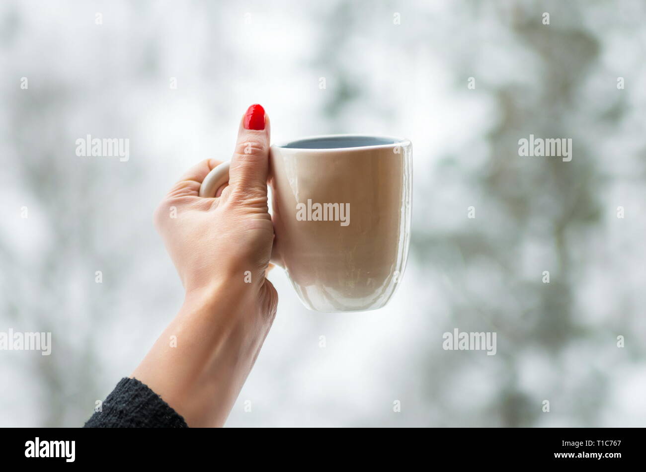 https://c8.alamy.com/comp/T1C767/mug-in-the-hand-on-snow-nackground-T1C767.jpg