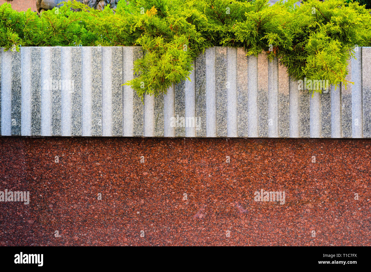Gray and Red Granite Wall-Bed Becorated with Conifers Plants. Blank Stone Architecture Background Stock Photo