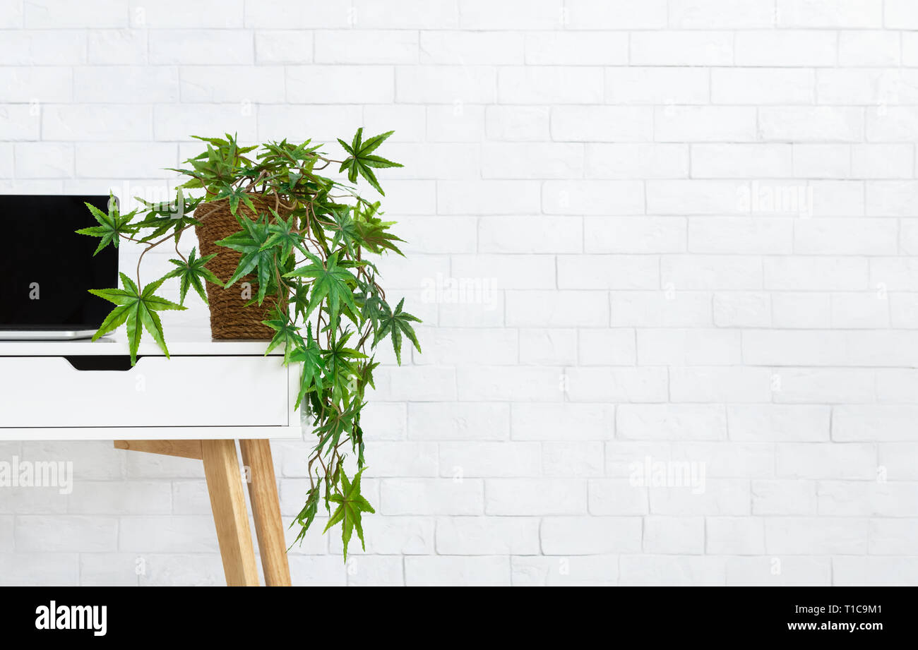 Laptop and pot with plant on desk, copy space Stock Photo