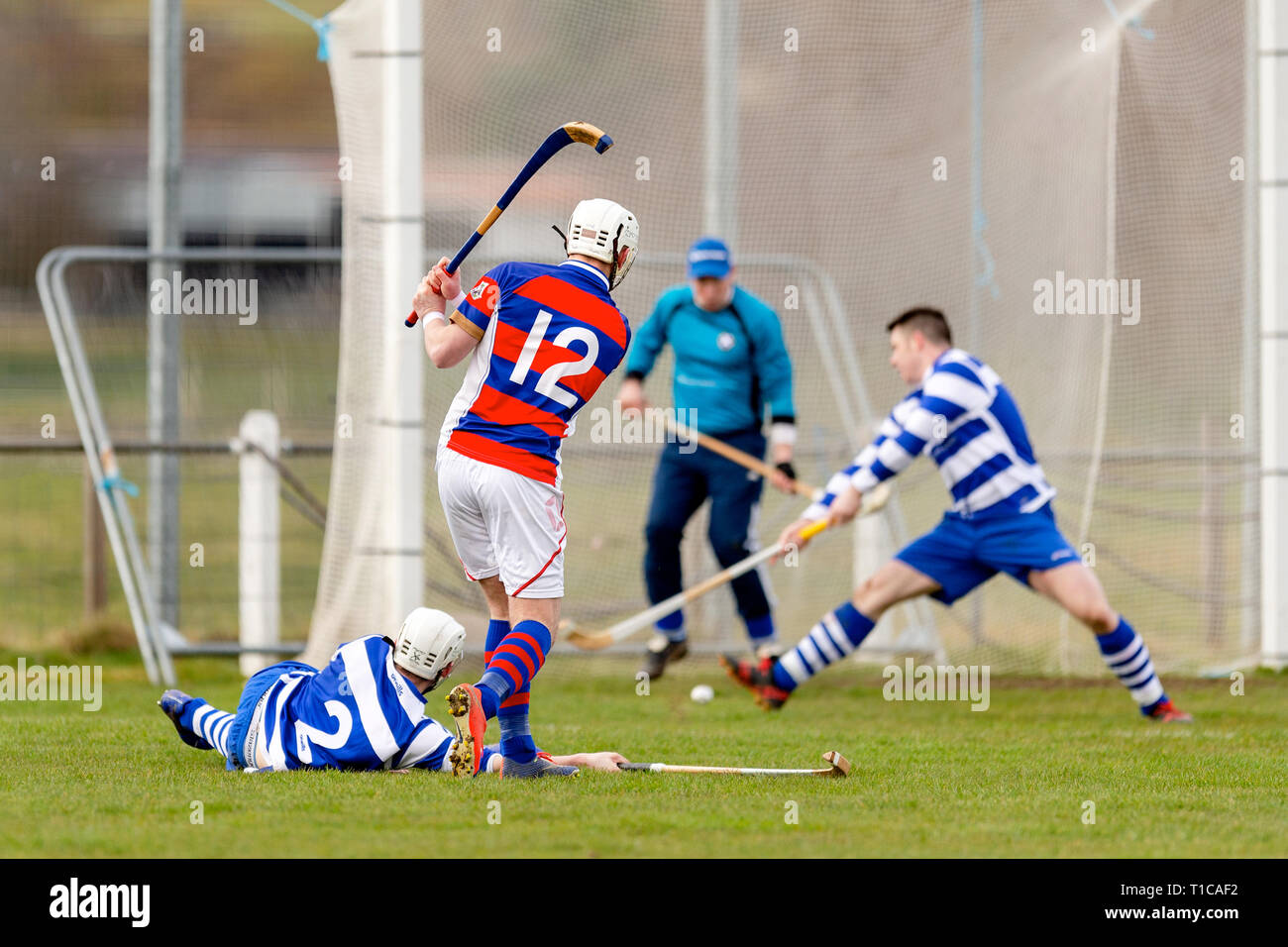 Shinty action from the Badenoch derby Newtonmore v Kingussie in the MOWI Premiership, played at The Eilan, Newtonmore. Stock Photo