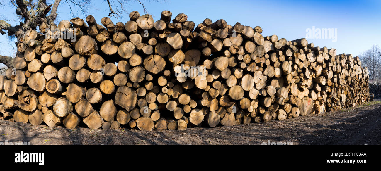 Eine Menge Holz für einen Winter Stock Photo