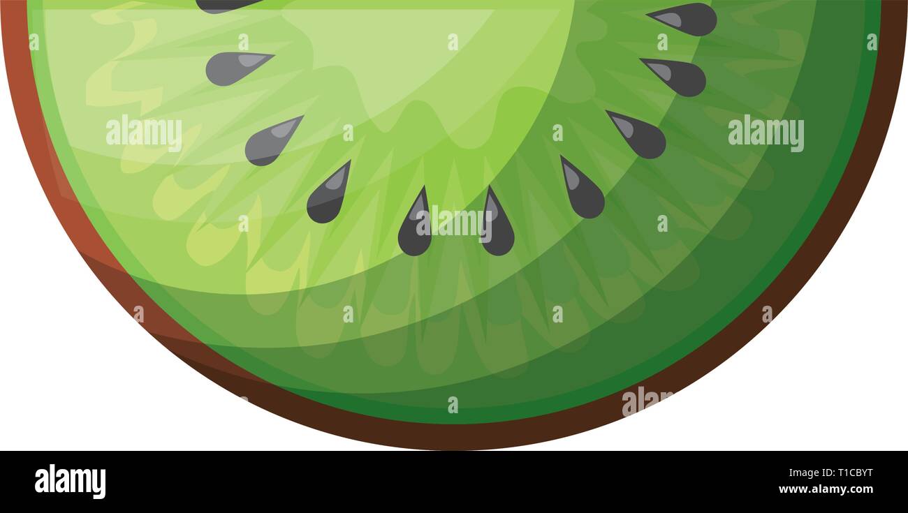 fresh slice kiwi fruit healthy vector illustration design Stock Vector  Image \u0026 Art - Alamy, image size:1300x735