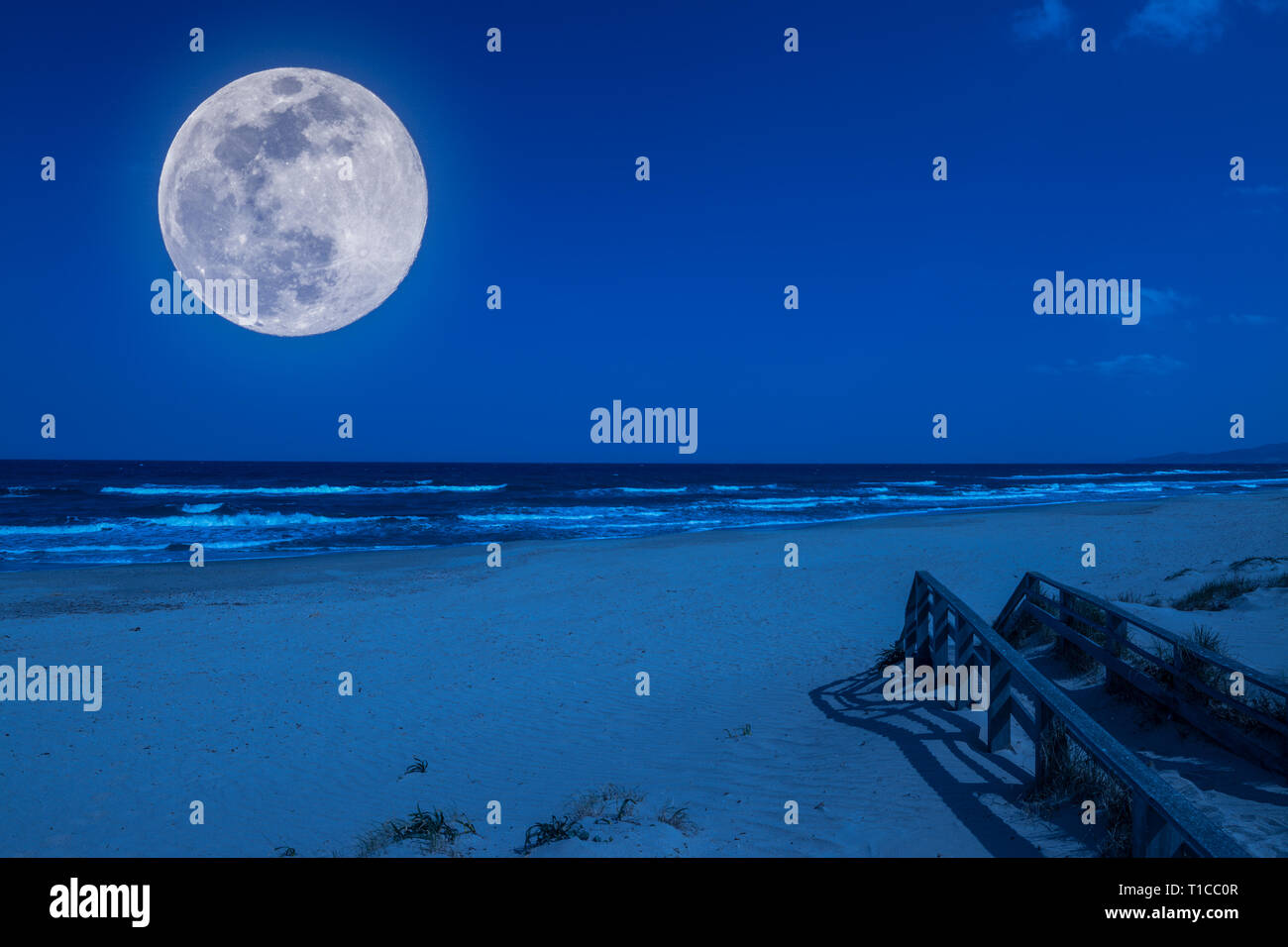 Landscape of beach at night Stock Photo