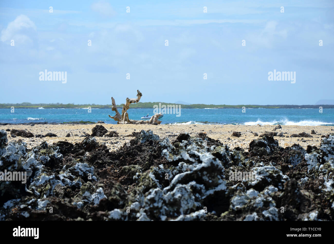 Galapagos Beach Adventure Stock Photo