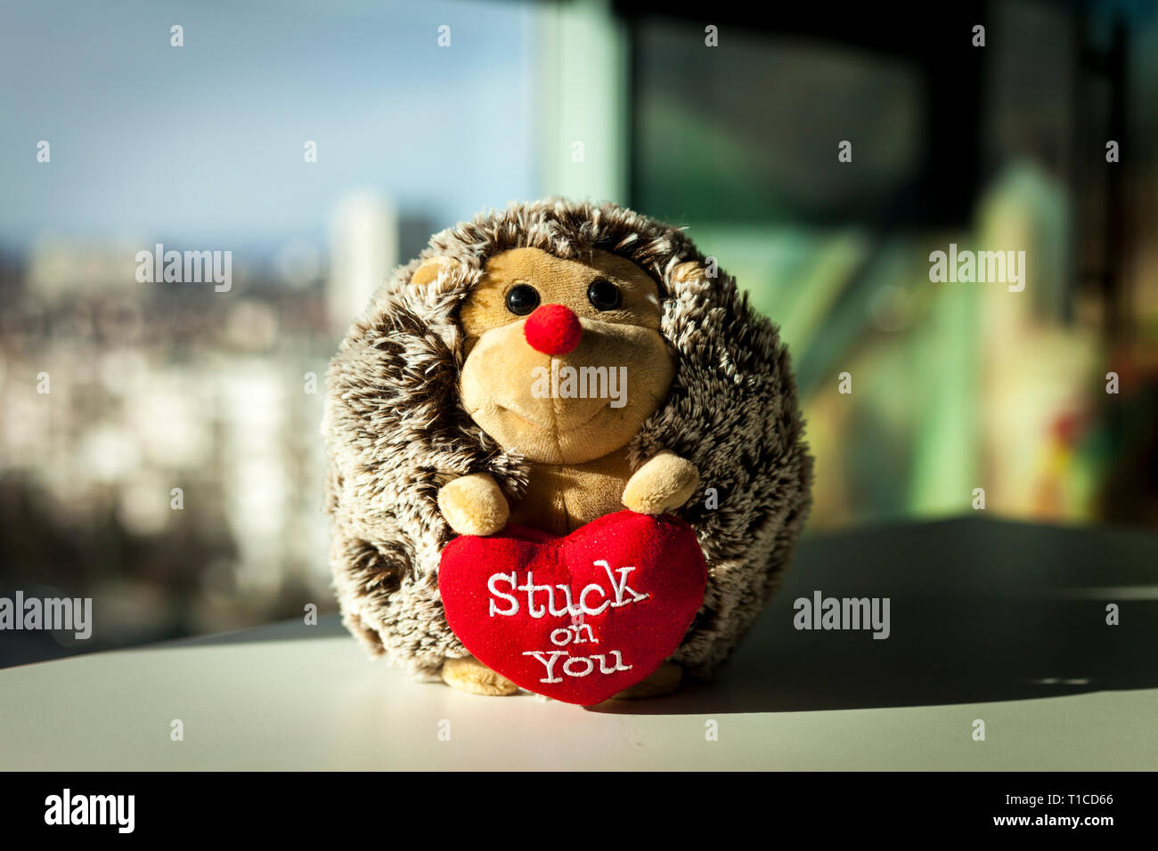 Hedgehog toy, stuffed animal Stock Photo