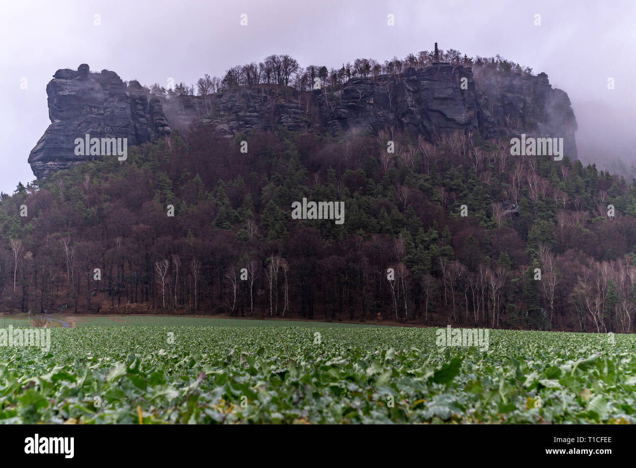 View on Lilienstein in Saxon Switzerland on a moody day. Stock Photo