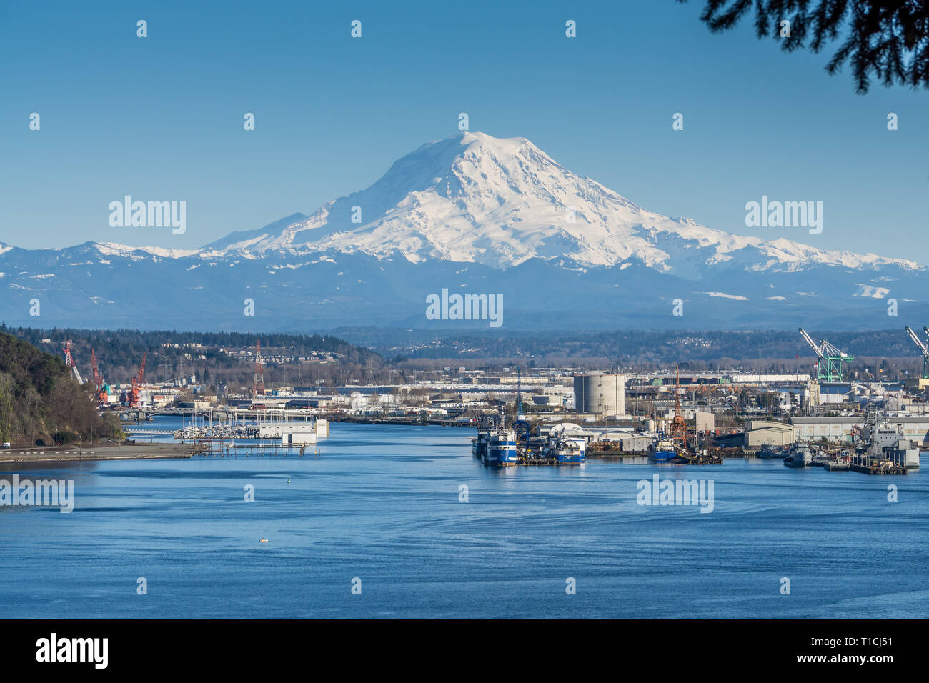 A view of the Port of Tacoma and Mount Rainier Stock Photo - Alamy