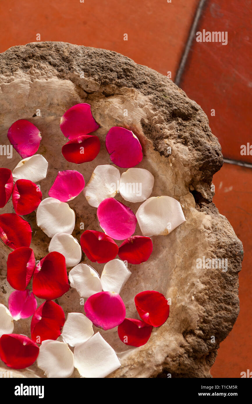 Red rose petals floating hi-res stock photography and images - Alamy