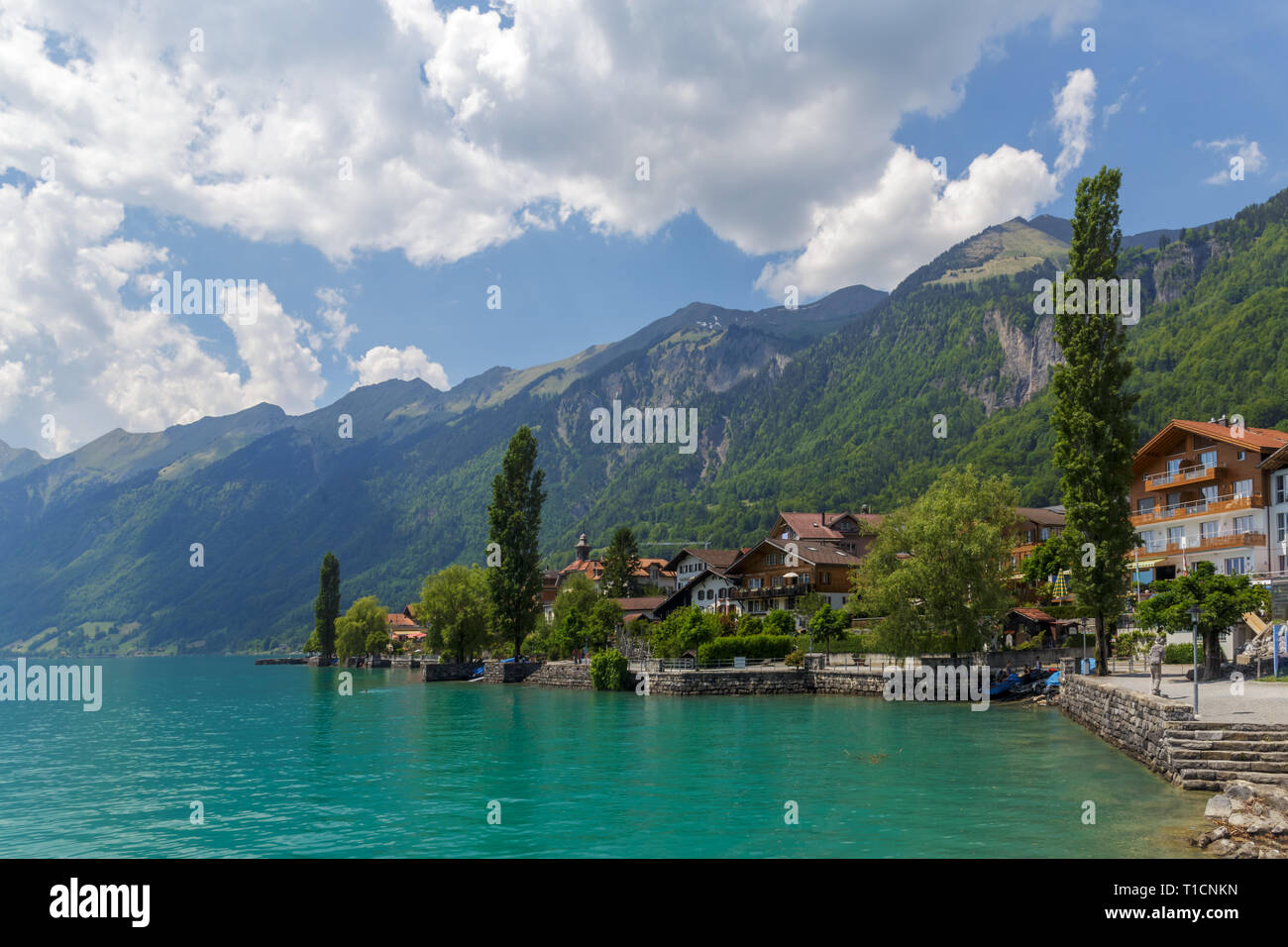 Brienz is a Swiss commune of the canton of Bern, located in the administrative district of Interlaken-Oberhasli. Stock Photo