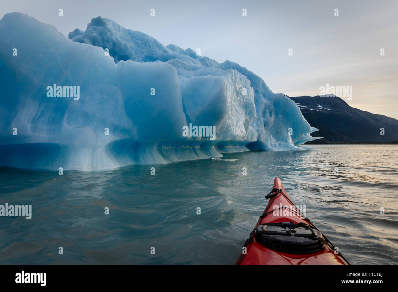 Kayaker glides by turquoise blue icebergs at sunrise in frigid waters of Alaska Stock Photo