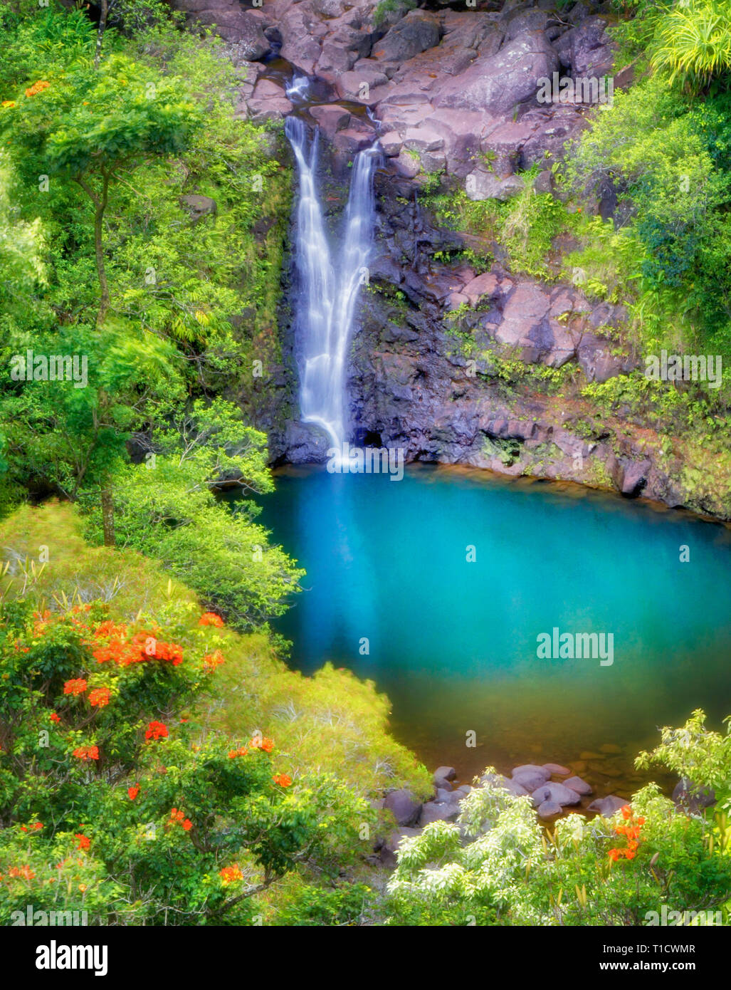 Puohokamoa Falls Pool Garden Of Eden Botanical Gardens Maui