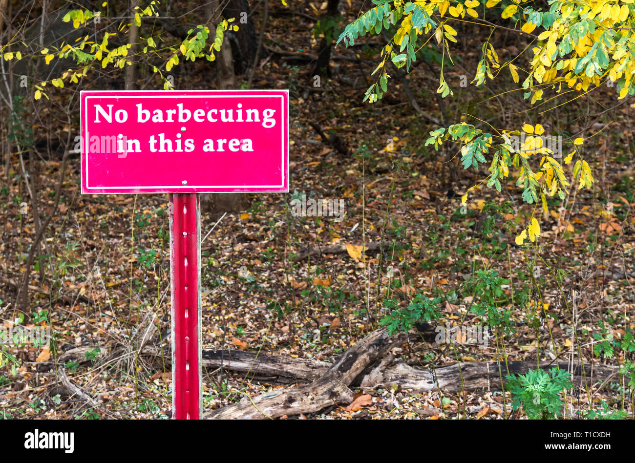 A red sign that reads, no barbecuing in this area. Stock Photo