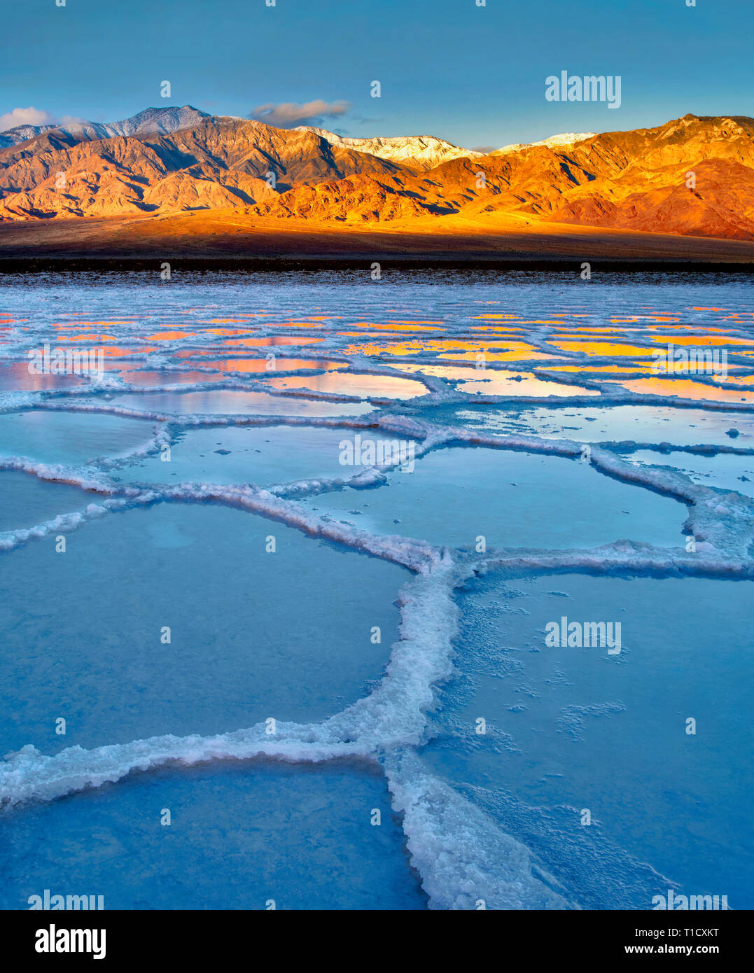 Salt poygons with water in them after rain storm. Death Valley National Park, California Stock
