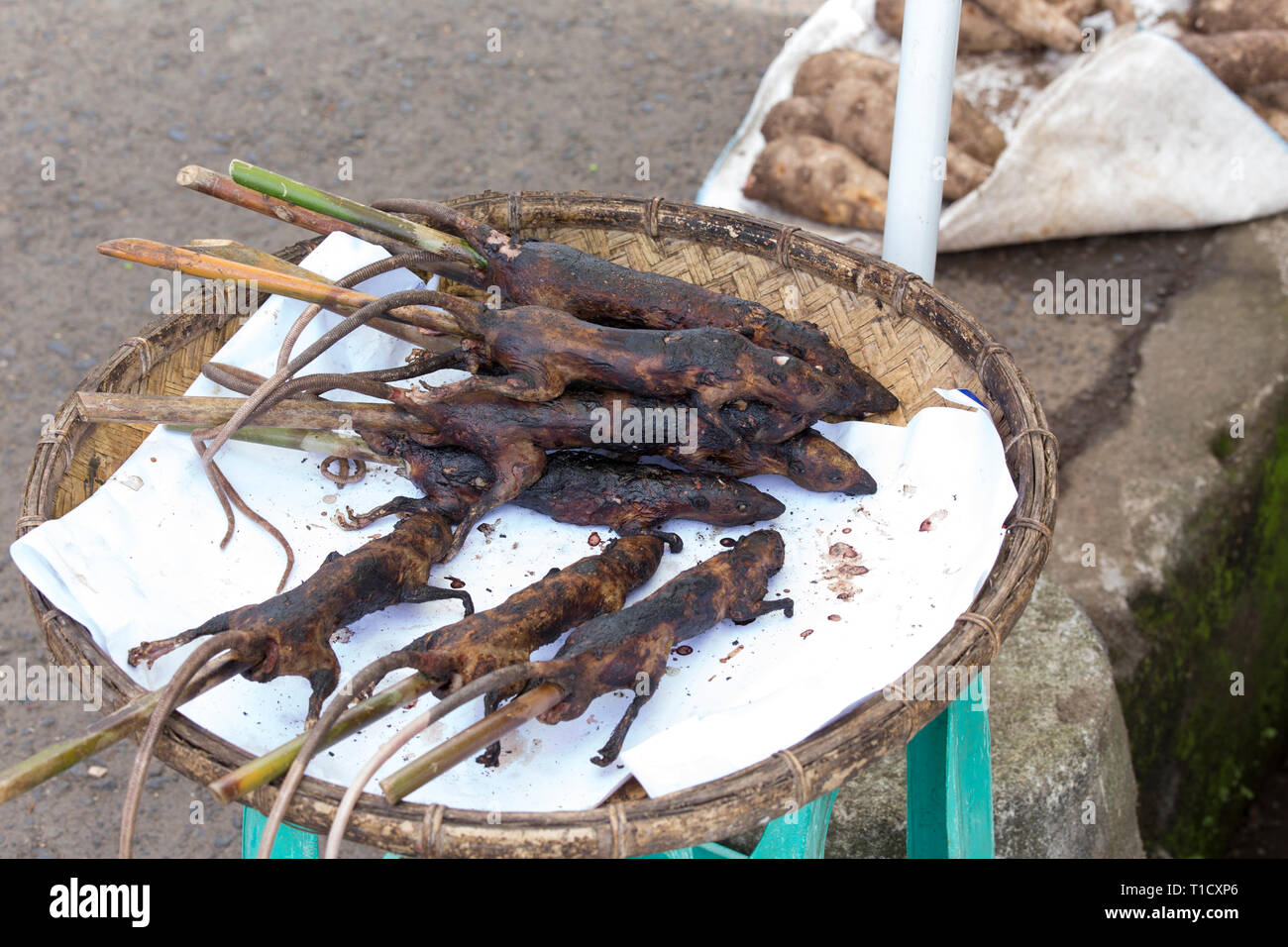 rats cooked at market in Tomohon, Indonesia Stock Photo Alamy