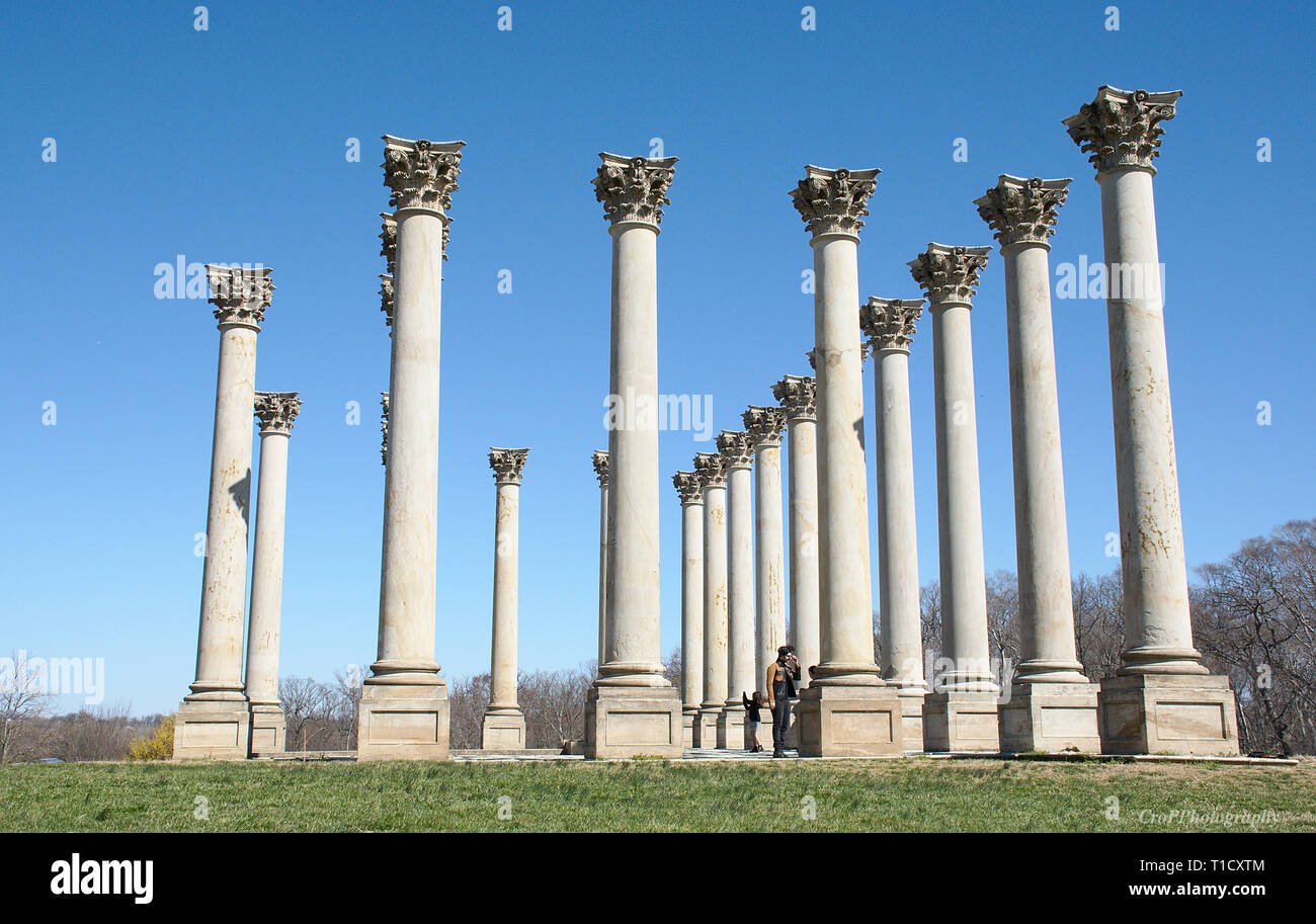 Columns at the National Arboretum in Washington DC Stock Photo