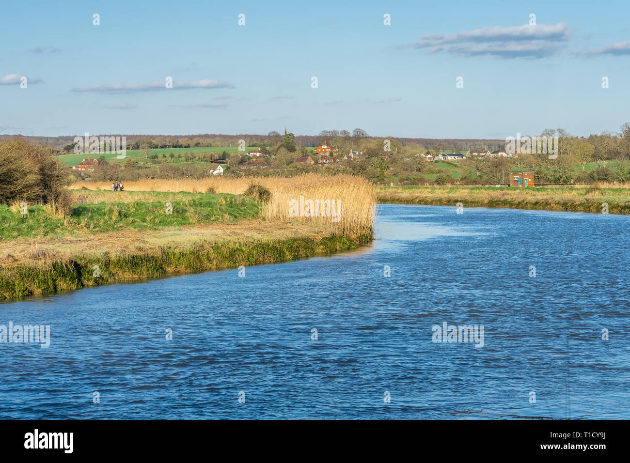 River Arun near Arundel in the English county of West Sussex, England, UK Stock Photo